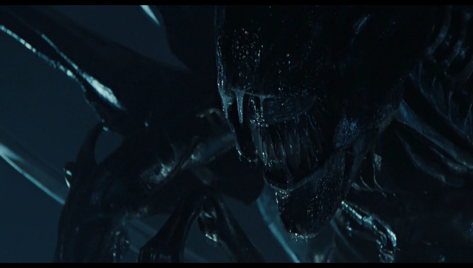 Alien24. Чужой воскрешение 1997 человек гибрид. Чужой полная режиссерская версия. Чужой 1979 на лице. Чужой воскрешение 1997 человек гибрид.