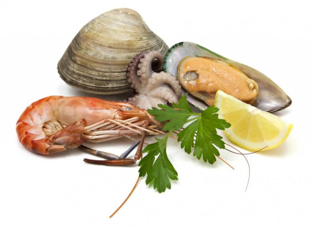 Креветка устрица. Морепродукты на белом фоне. Рыба и морепродукты. Креветка моллюск. Ракообразные моллюски морепродукты.