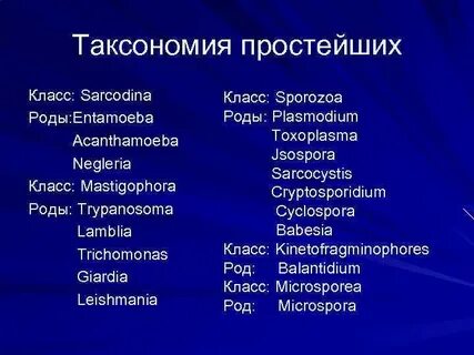 Таксономия простейших