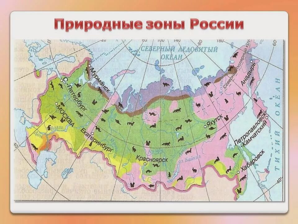 Карта природных зон России. Крата природных зон России. Природная карта России с природными зонами. Карта природных зон России 4 класс окружающий мир.