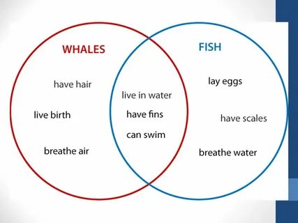 Compare and swap
