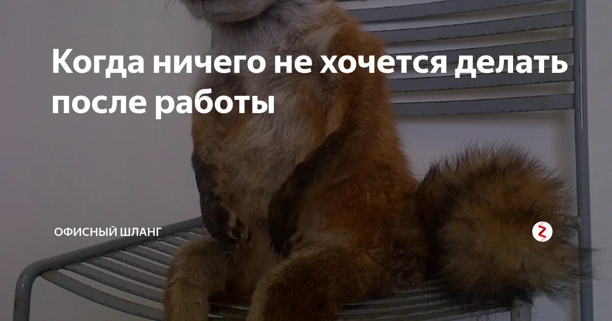 Не хочу ничего делать по дому