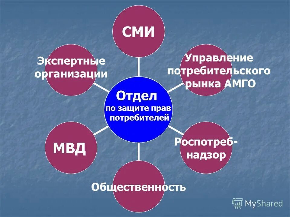 Отдел защиты прав потребителей. Отдел по защитн правпотребитнлей. Отдел по правам потребителей. Отдел защиты прав потребителей Лавриненко.