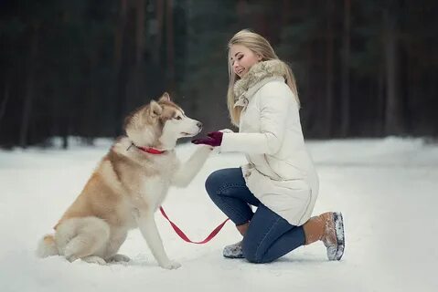 Вечерние лайки