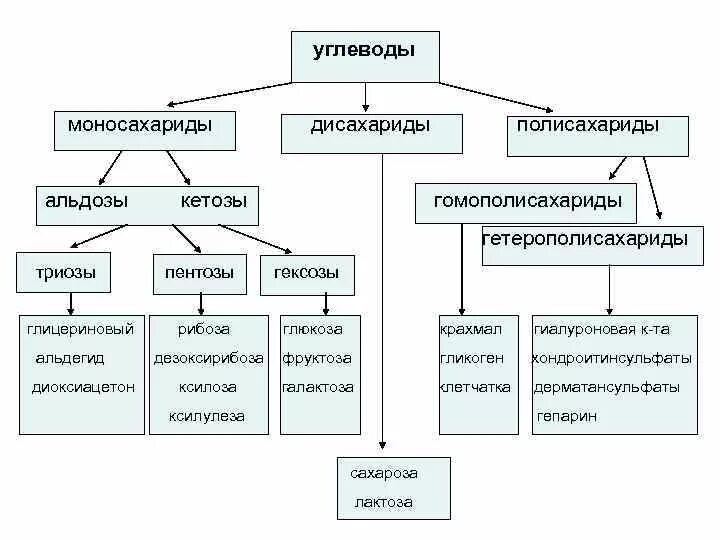 Моносахариды дисахариды полисахариды таблица. Классификация углеводородов моносахариды. Классификация углеводов моносахариды дисахариды и полисахариды. Углеводы моносахариды олигосахариды полисахариды таблица. Углеводы к какой группе относится