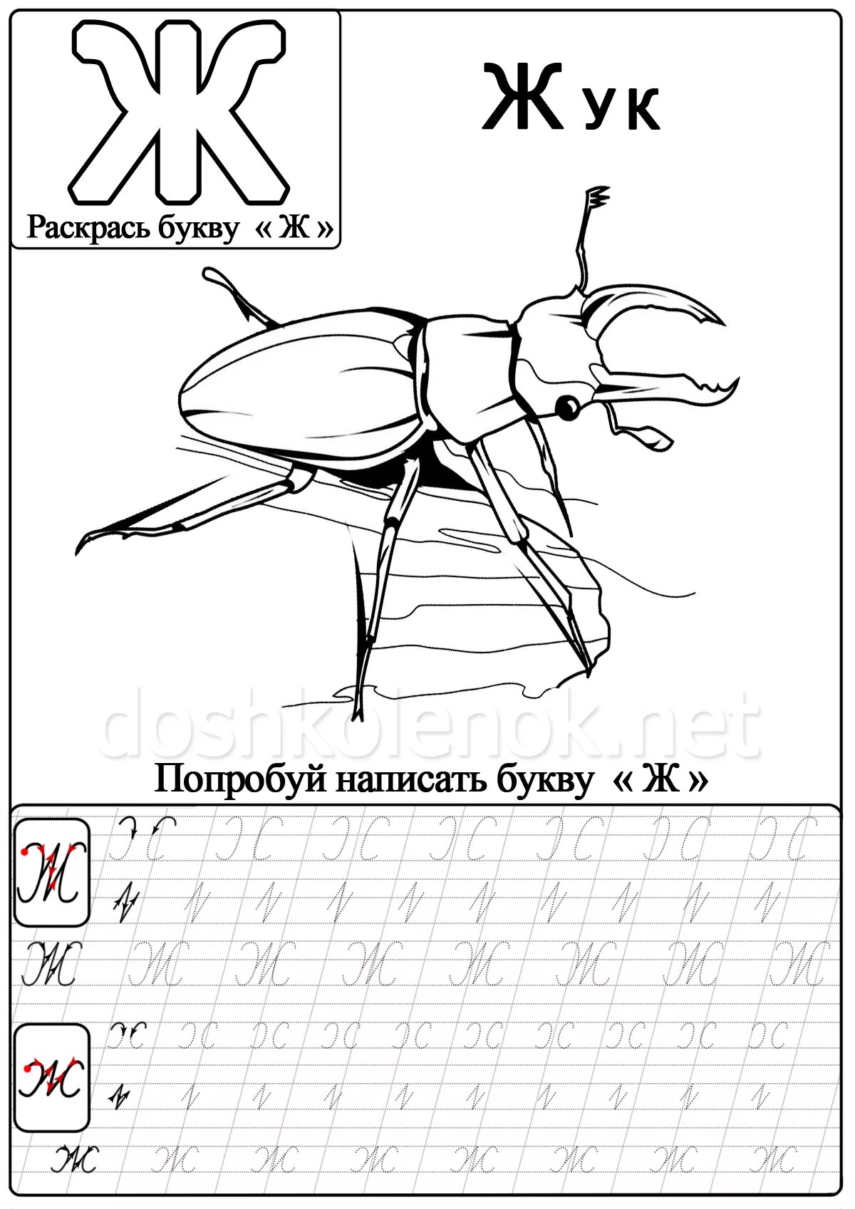 Прописи буква ж прописная. Буква ж задания. Буква ж задания для дошкольников. Буква ж пропись для дошкольников.