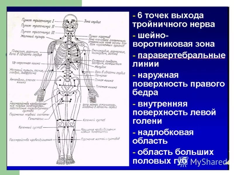 Паравертебральные точки спины. Пальпация паравертебральных. Паравертебральный массаж. Шейная паравертебральная блокада методика. Пальпация паравертебральных.