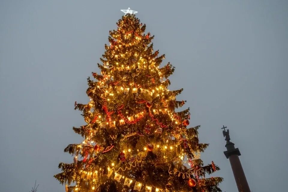 График работы елки воронеж. График работы елки воронеж. График работы елки воронеж. Елка на центральной площади воронежа 2023. Новогодняя елка на площади ленина воронеж.