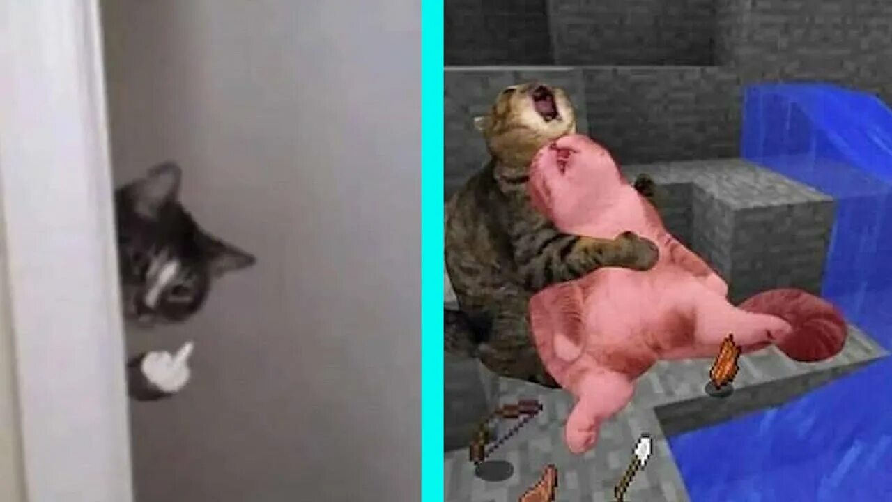 Самую смешную озвучку
