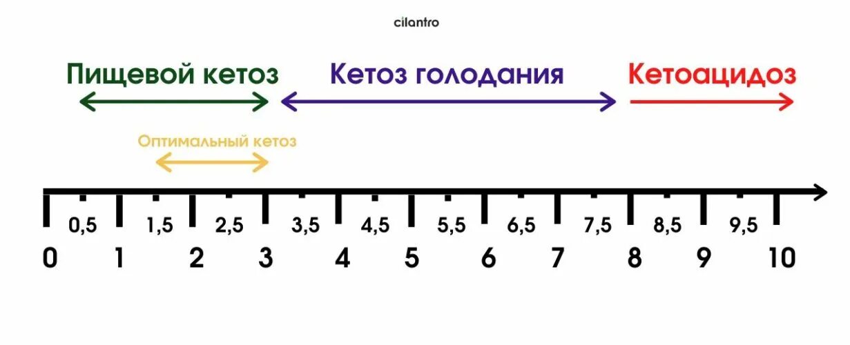 Как войти в кетоз быстро и правильно. Как войти в кетоз быстро и правильно