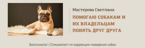 Коррекция поведения собаки