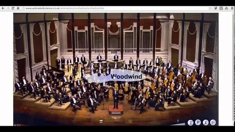 Коллектив музыкантов играющих на музыкальных инструментах