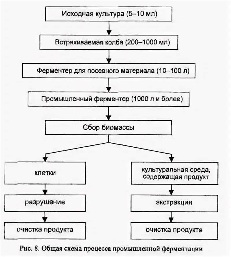 Схема и структура биотехнологического процесса Разработка ускоренной биотехнологической подготовки стоков и навоза животноводче