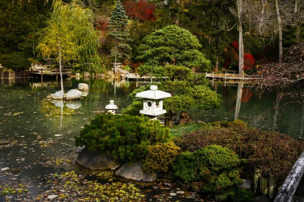 Японский пруд. Восточный стиль ландшафт Япония. Сад Японии СПБ. Японский сад с прудом. Пруд в японском стиле.