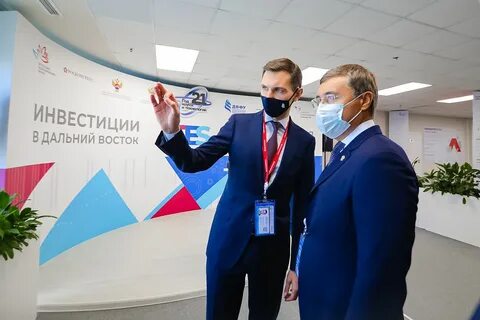 Дальний восток 2030 программа