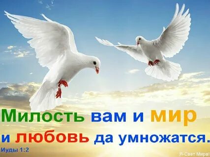 Благодати счастья любви