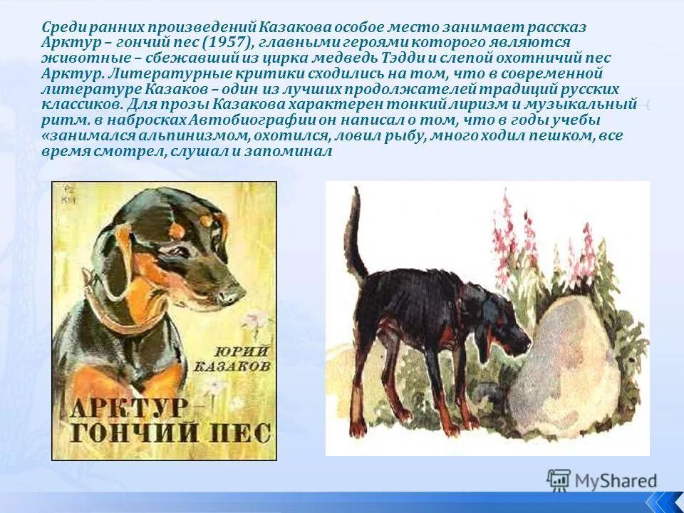 Казаков ю. "Арктур - гончий пес". Ю п казаков произведения