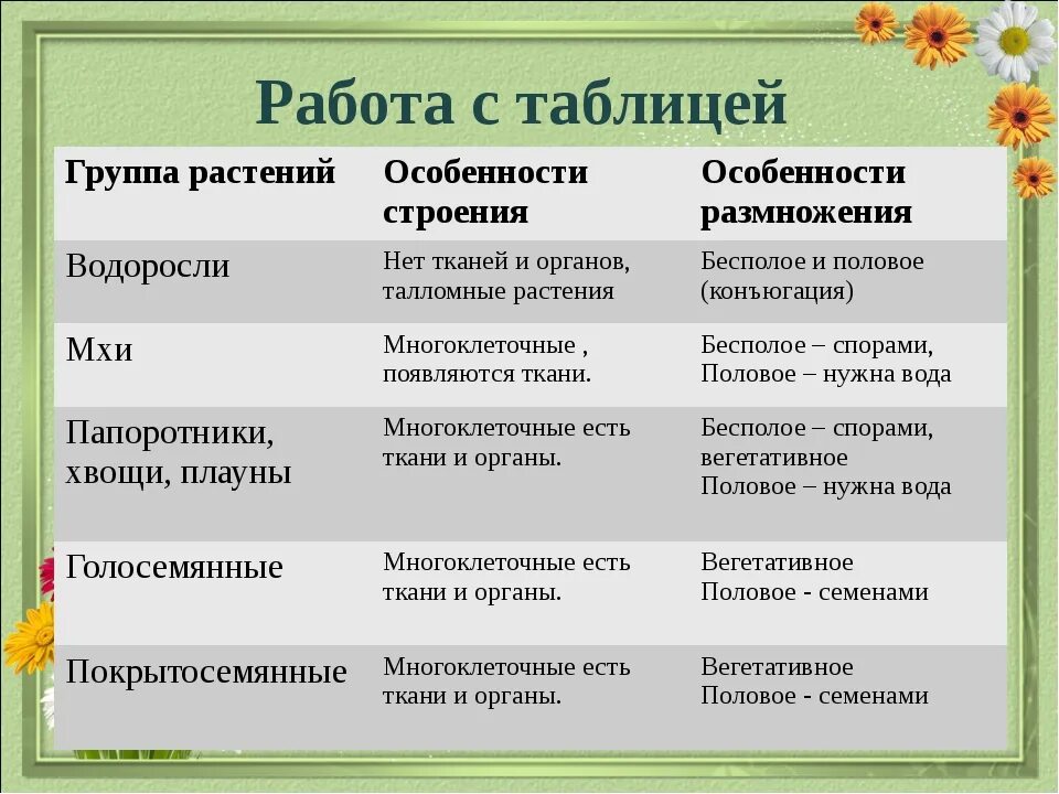 Признаки растений 5 класс биология таблица. Признаки отделов растений. Характеристика основных групп растений. Таблица по биологии отделы растений.