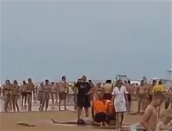 Анапа 09 09 2024