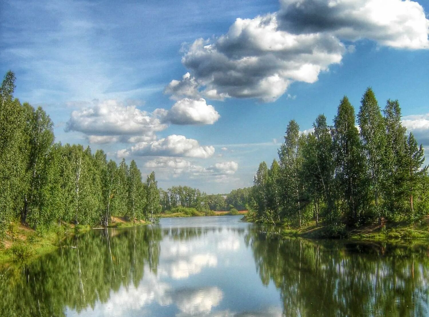 Интернет в озерах. Природа Тюменской области. Пейзажи Тюменской области. Тюмень природа. Природа Тюменского края.