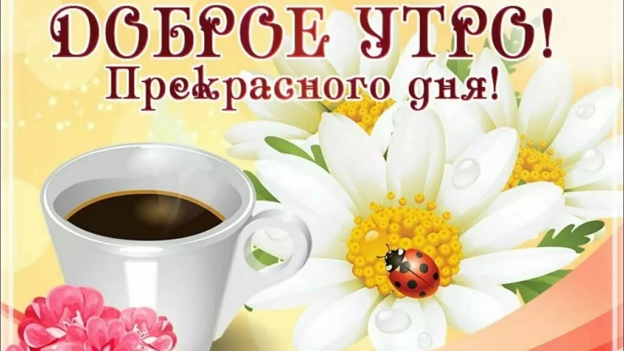 Доброе утро - "Я и ты Водолей - вместе будет веселей.", пользователь Ольга Плесо