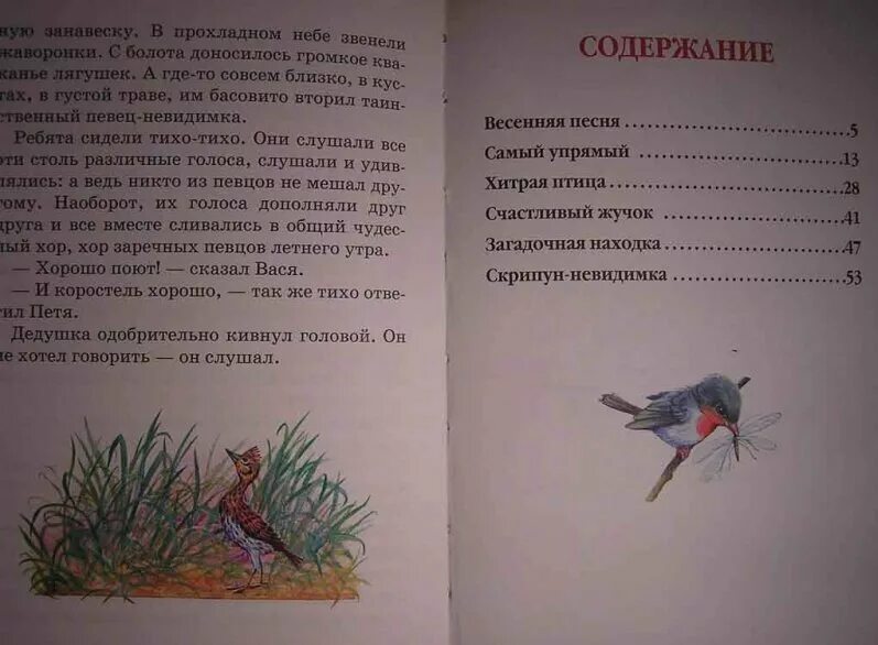 Г Скребицкий сказки следопыта сколько страниц. Сказки следопыта Скребицкий оглавление. Г скребицкий весенняя песня читать