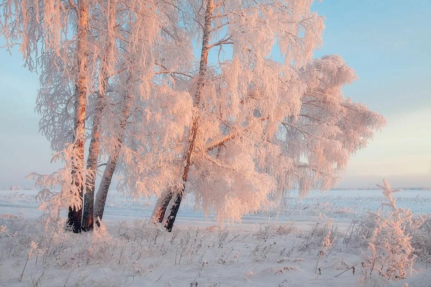 Зимнее утро. Февральский пейзаж. Красота зимы. Красота русской зимы. Русь сердцу дорога