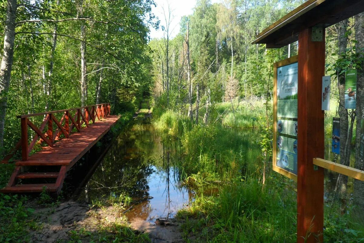 Парки новгородской области. Валдайский национальный парк. Валдайский заповедник Новгородской области. Озеро Боровинец Валдайский район. Валдайский парк в Новгородской области.