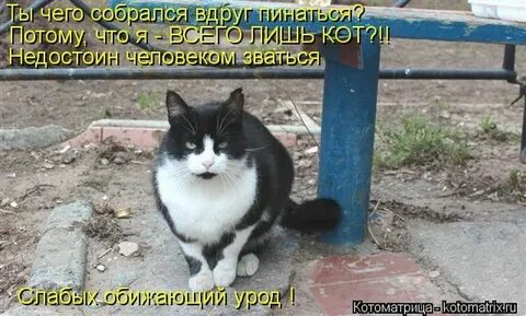 Песня нельзя обижать
