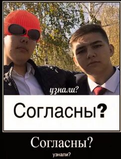 Понять или согласиться