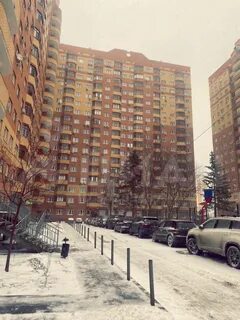 Путилковское шоссе