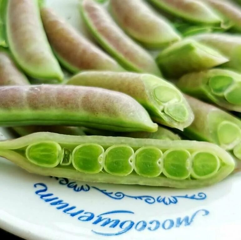 Снеп горох Усатый весенний румянец. Снеп горох Усатый. Снеп горох — Snap Peas. Сорта снэп гороха. Горох усатый