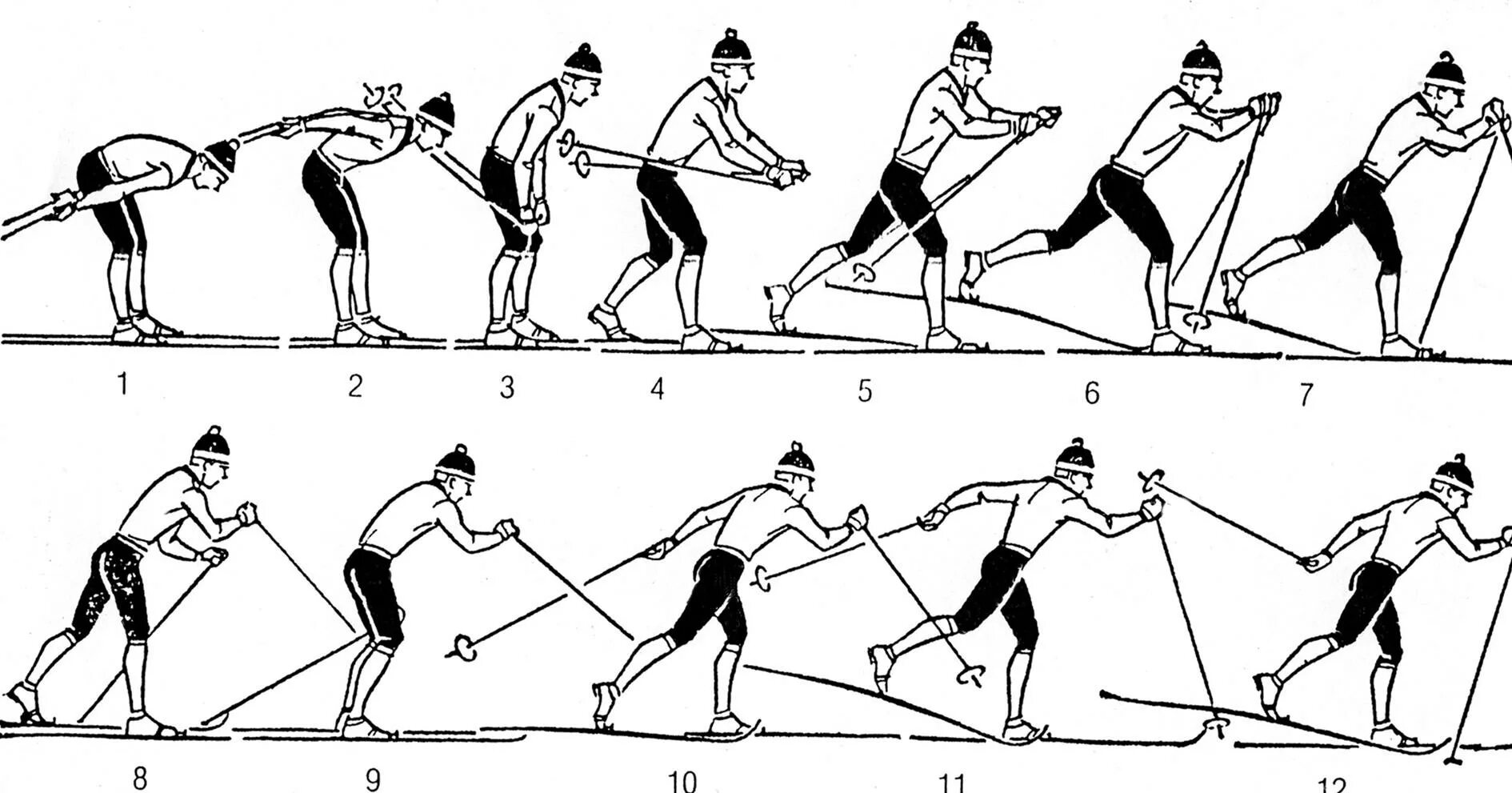 Попеременный двухшажный ход. Техника лыжных ходов попеременный ход. Попеременный двухшажный классический ход на лыжах. Переход с одновременного хода на попеременный двухшажный ход.