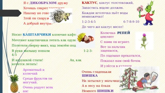 Какие условия необходимы кактусу