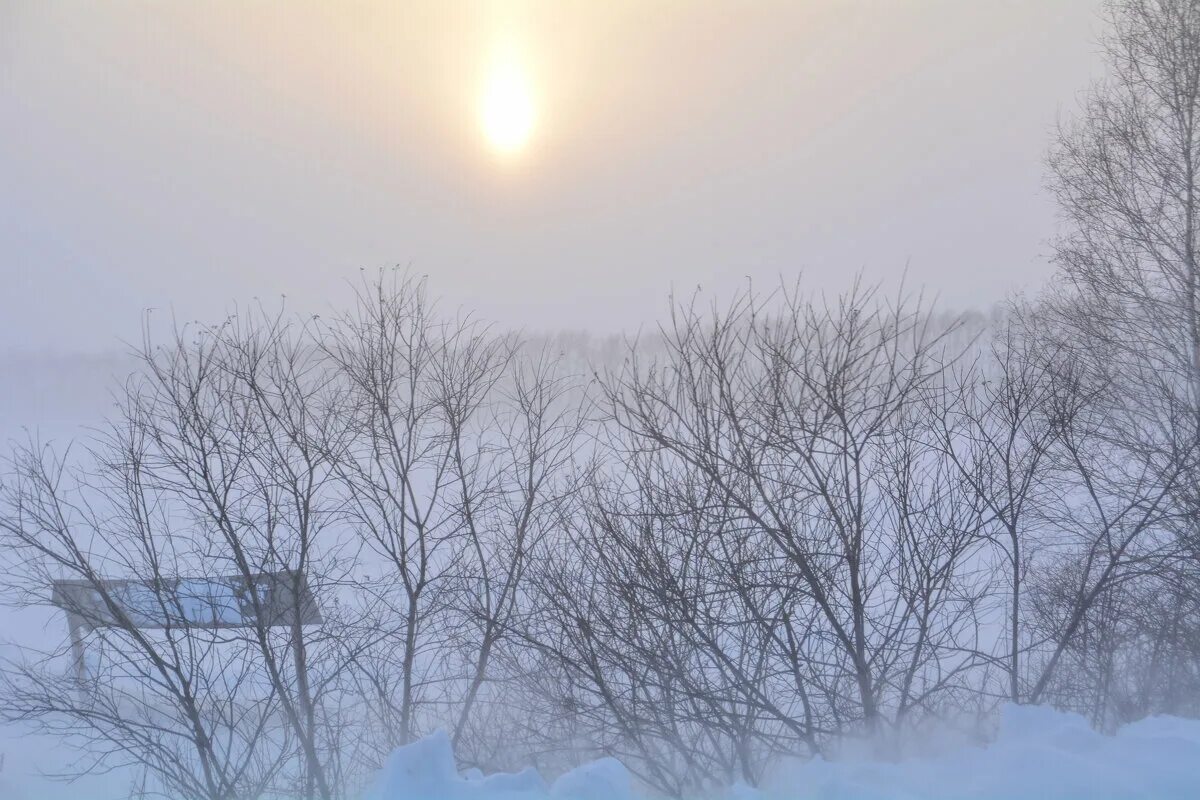 метель. слушать долгая зима вьюга кутерьма. дюмин и звинцов долгая зима. саша звинцов долгая зима. видеоролик долгая зима.