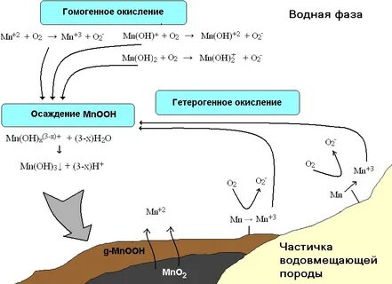 Водная фаза