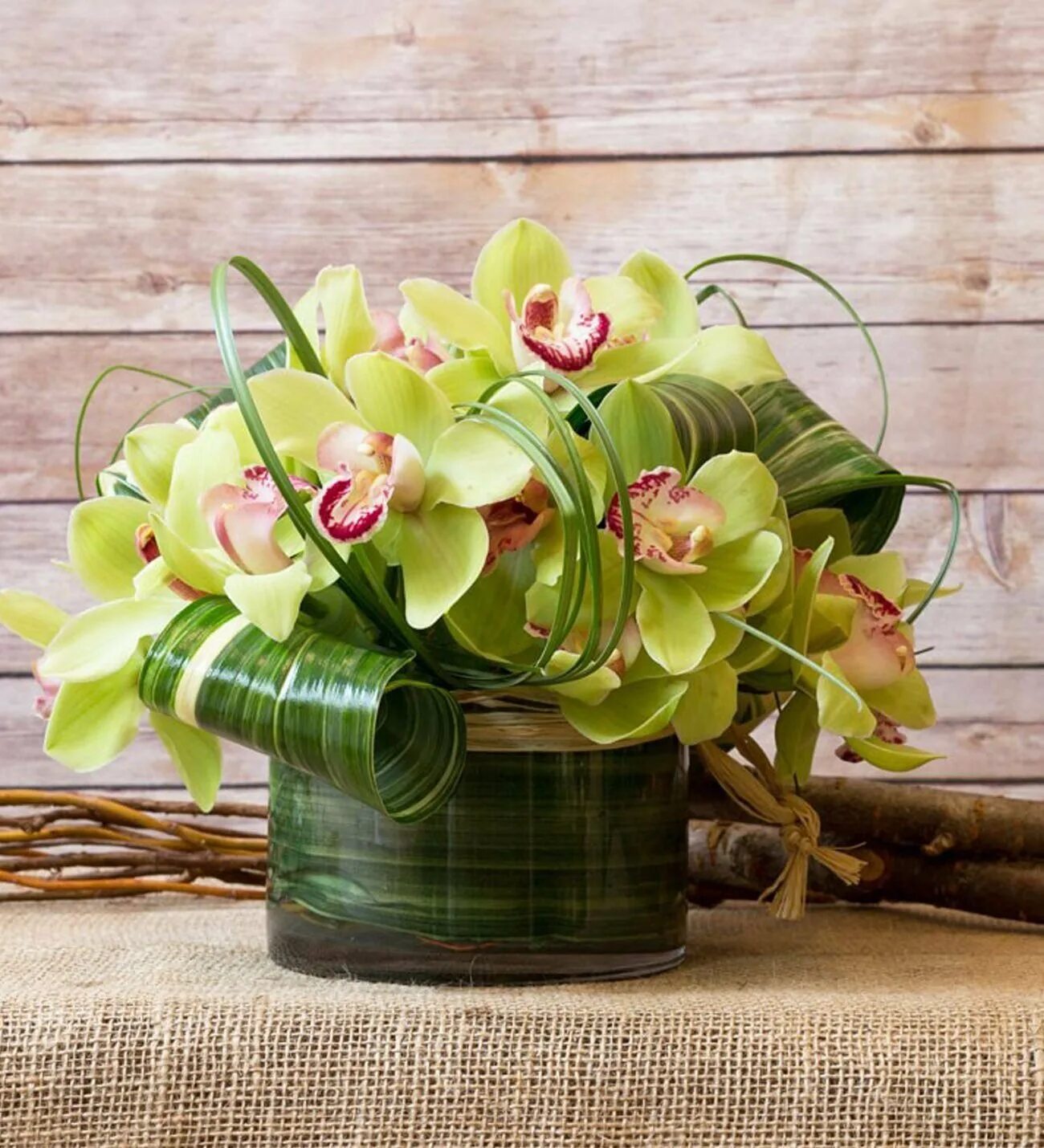 Орхидея срез. Орхидея Цимбидиум зеленая. Букет с орхидеей Цимбидиум. Фаленопсис Лемонграсс. Орхидея Цимбидиум зеленая в букете.