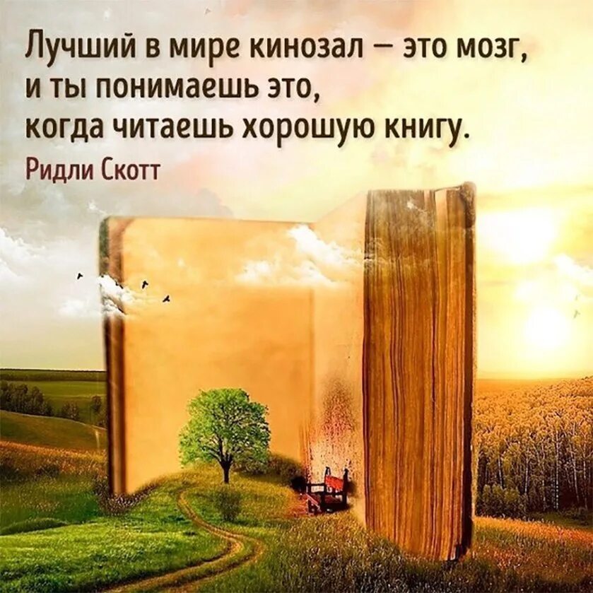 Книги readli. Интересные фразы из книг. умные изречения о книгах. книга жизни афоризмы. интересные цитаты про книги.