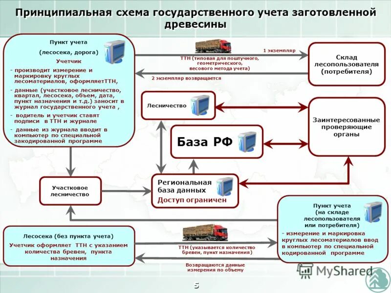 учет по объему заготовленной древесины