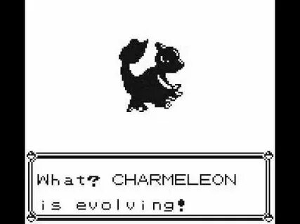 Into evolving