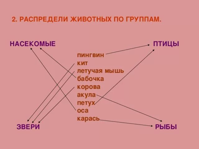 Распределите одежду по группам. Распределить животных по группам. Распредели животных по группам. Распредели животных по группам 2 класс. Распредели животных по группам 3 класс.