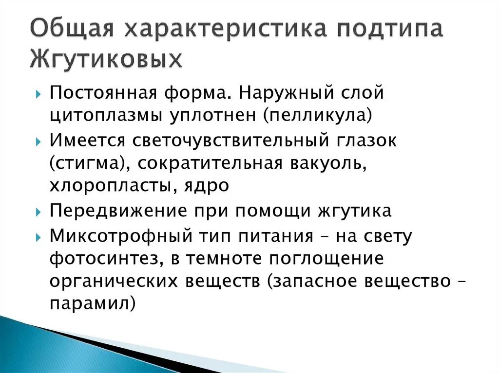 Общая характеристика жгутиковых. Класс жгутиковые общая характеристика. Жгутиконосцы систематическое положение. Общая характеристика жгутиковых кратко. Общая характеристика жгутиконосцев.