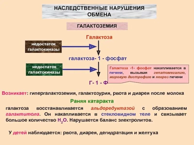 Нарушения обмена галактозы и фруктозы: галактоземия и фруктоземия.. Нарушение обмена галактозы. Нарушение метаболизма галактозы. Наследственные нарушения обмена галактозы.