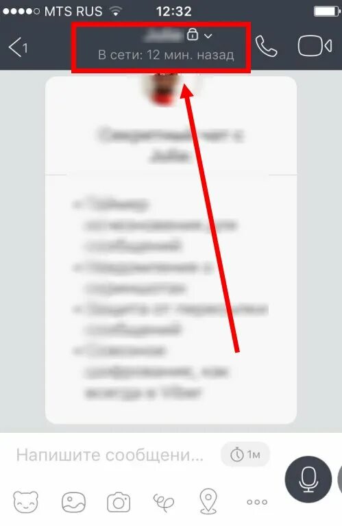 Секретный чат. Секретный чат в вайбере. Как убрать секретный чат. Вайбер переписка секретный чат.
