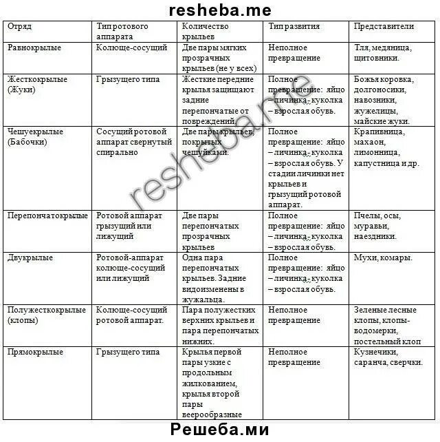 Биология 7 класс параграф 18 ответы. Таблица насекомые 7 класс биология. Таблица отряды насекомых 7 класс биология. Отряды насекомых 7 класс биология таблица отряды. Таблица насекомые 7 класс биология латюшин.