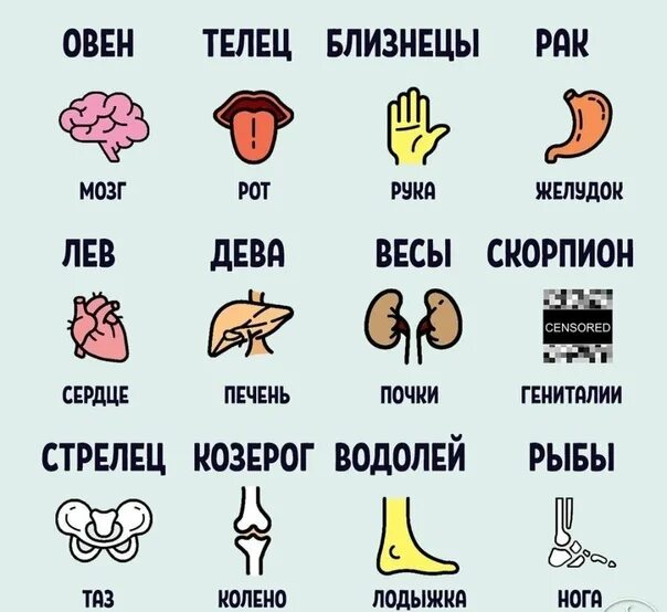 гороскоп на 24 января близнецы