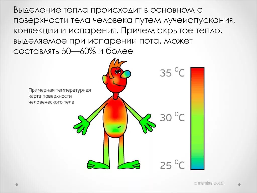 Выделение тепла от человека. Количество тепла выделяемое человеком. Выделение тепла человеком в час. Сколько энергии тепла выделяет человек.