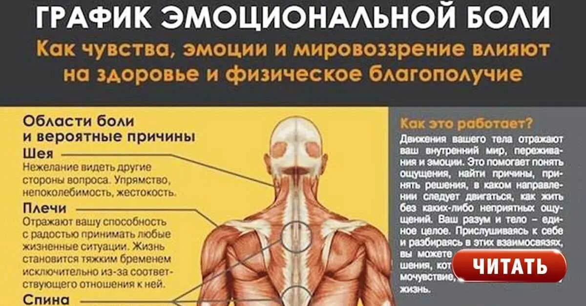 Рейтинг самой сильной боли у человека. Психосоматика мышцы спины. Психосоматика боли. Боль в позвоночнике психосоматика. Болят мышцы психосоматика.