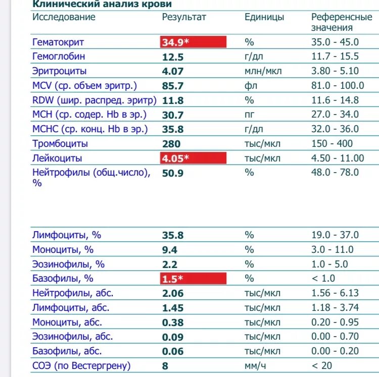 Повышенные базофилы в крови у мужчин причины. Анализ крови показатели лейкоцитов. Лейкоциты анализ крови расшифровка. Анализ крови лейкоциты норма. Кровь норма общего анализа крови лейкоциты.