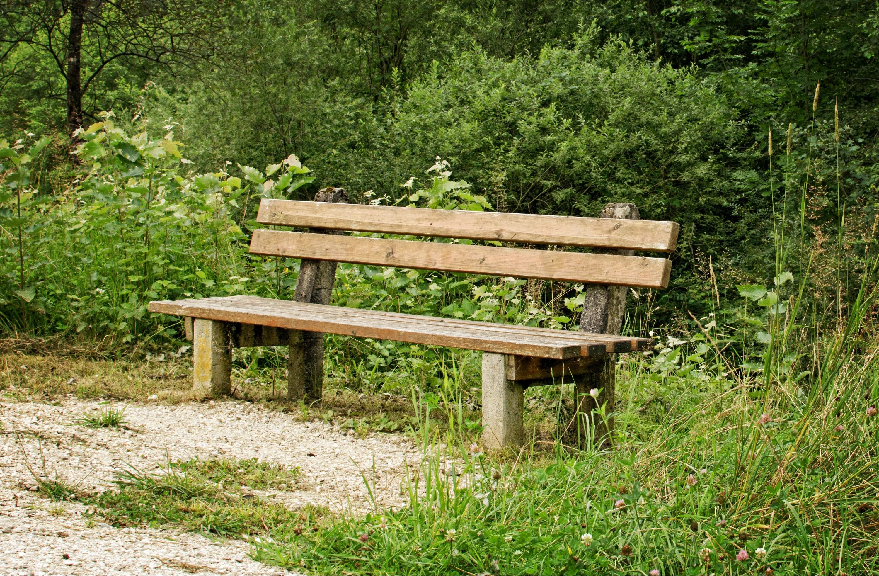 Sit bank. Скамейка Wood Bench. Bench [бенч] — скамейка. Лавочка в парке. Скамейка в лесу.